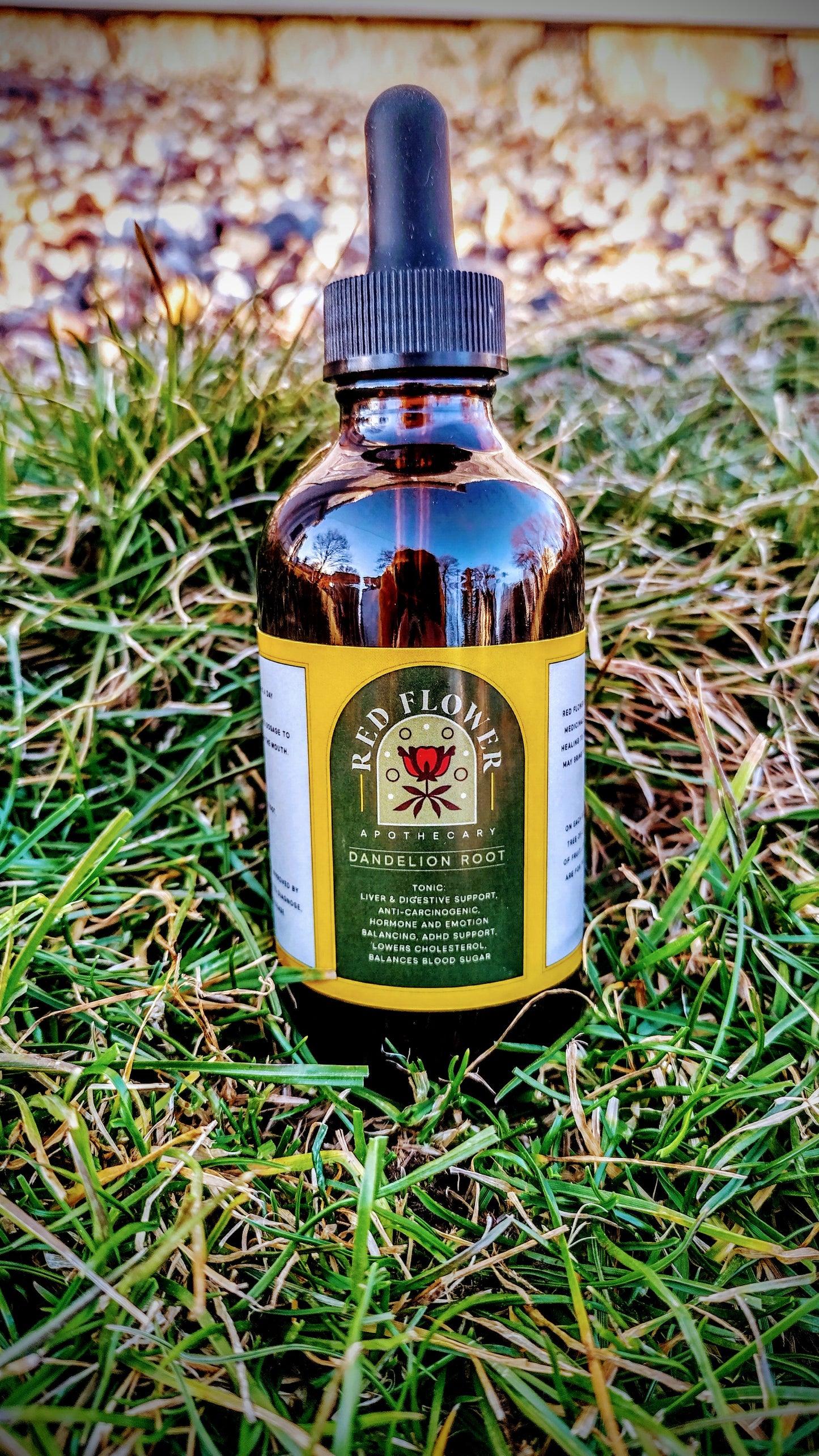 Organic Dandelion Root
