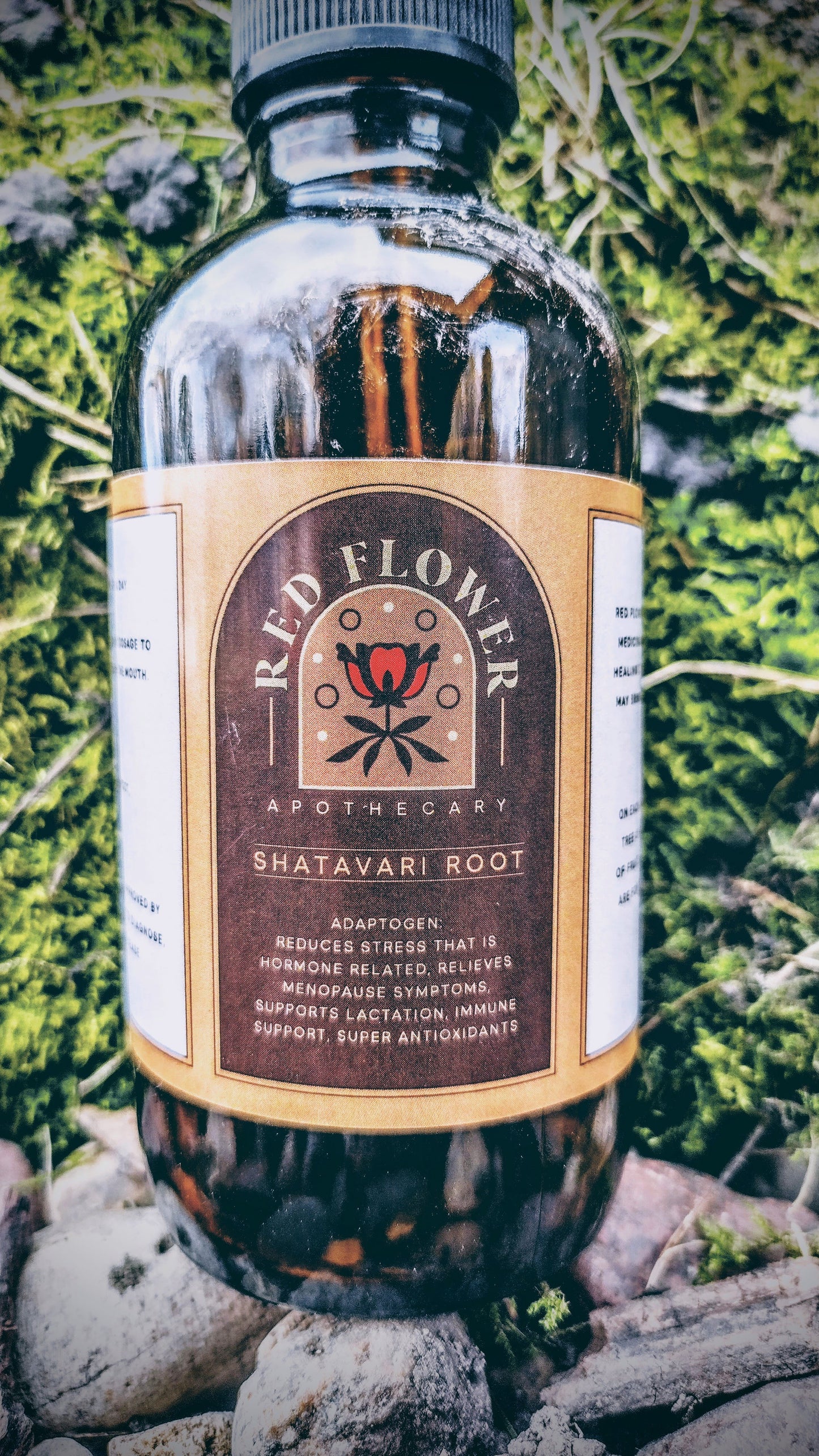 Organic Shatavari Root