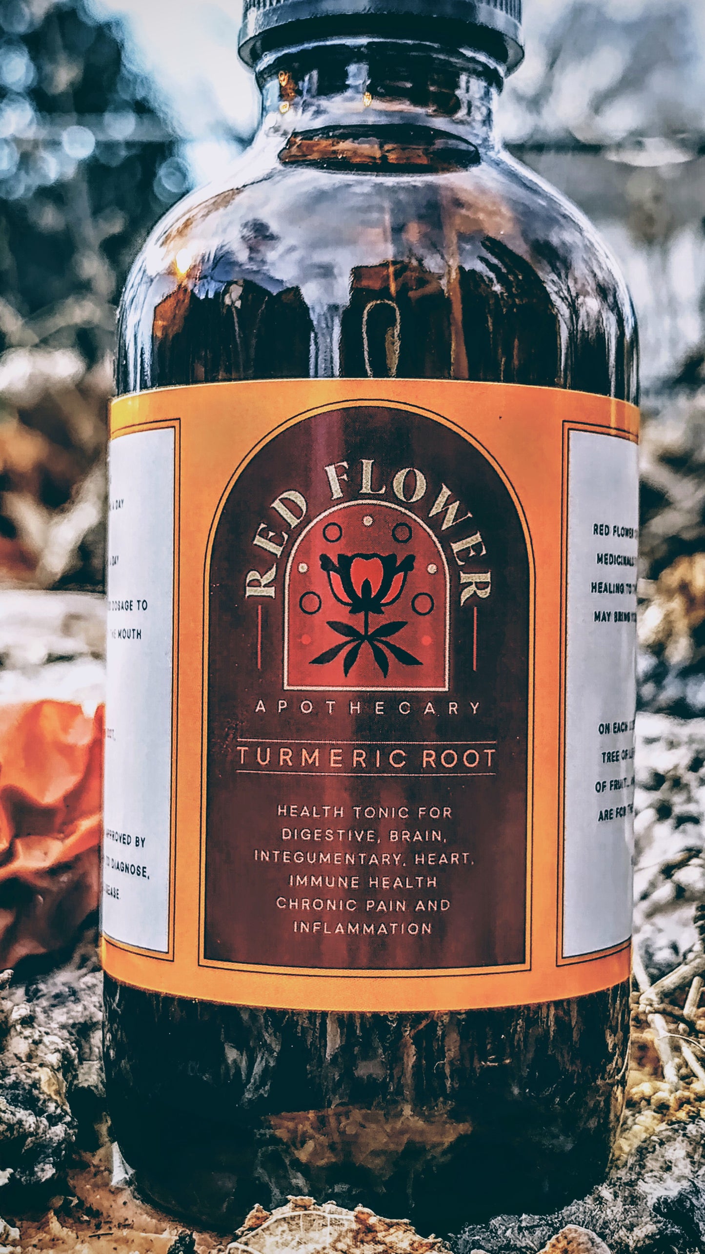 Organic Turmeric Root