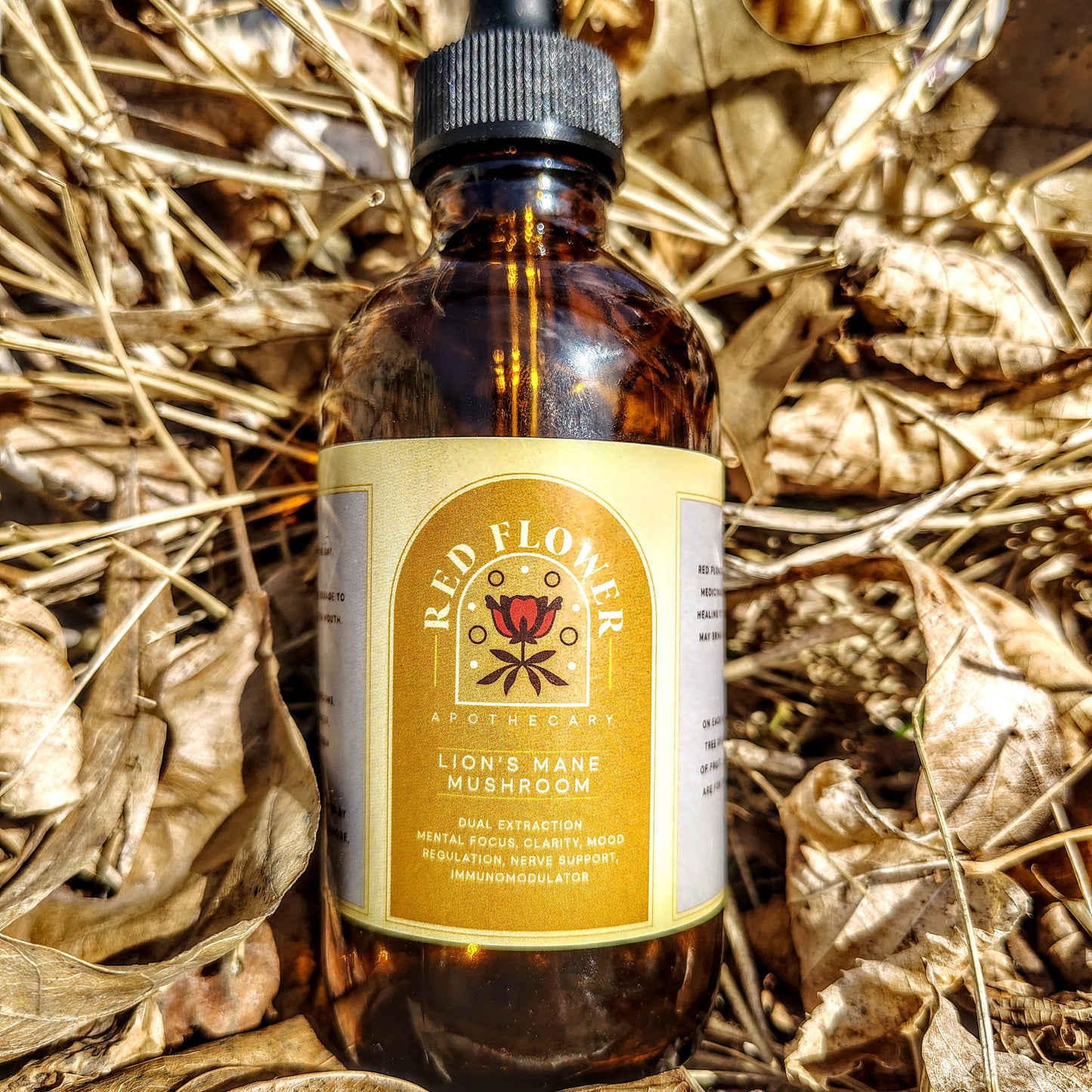 Organic Lion's Mane - Dual Extraction