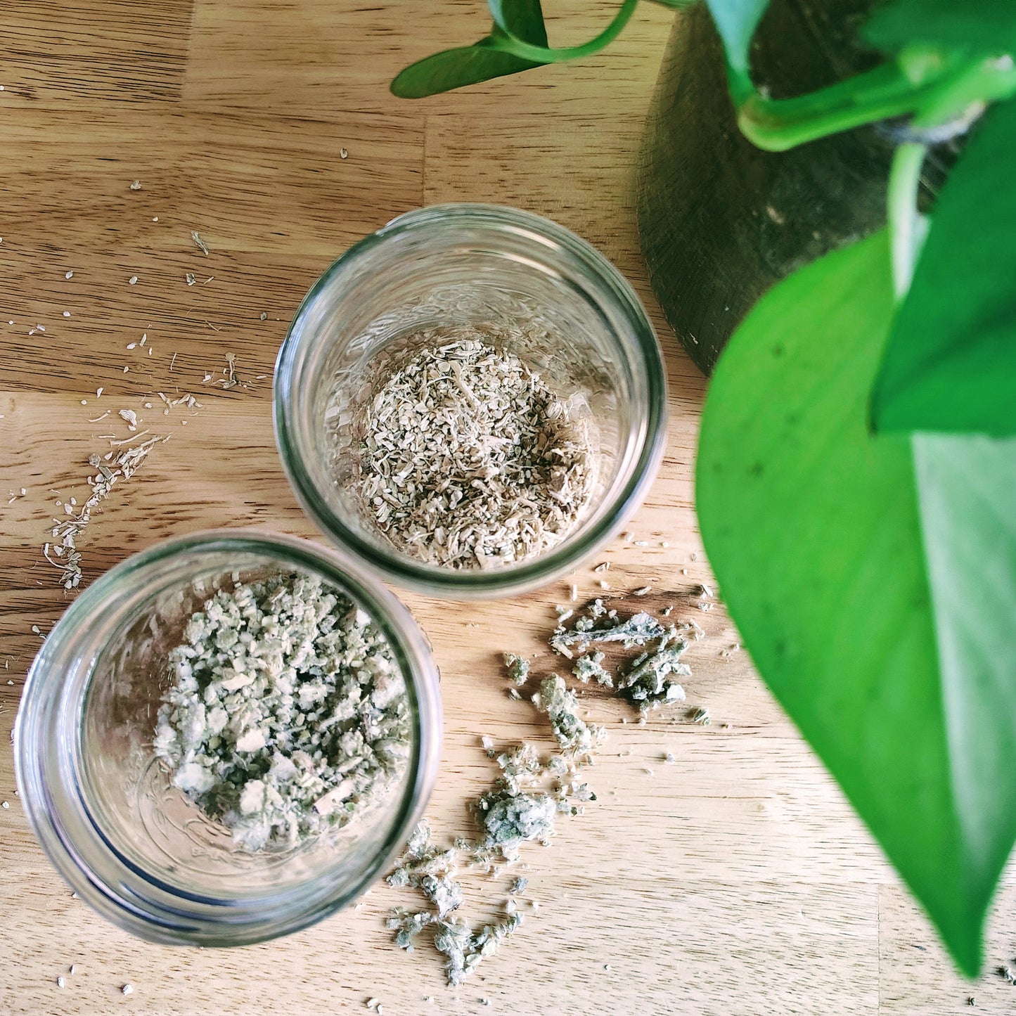 Lung Tea Blend