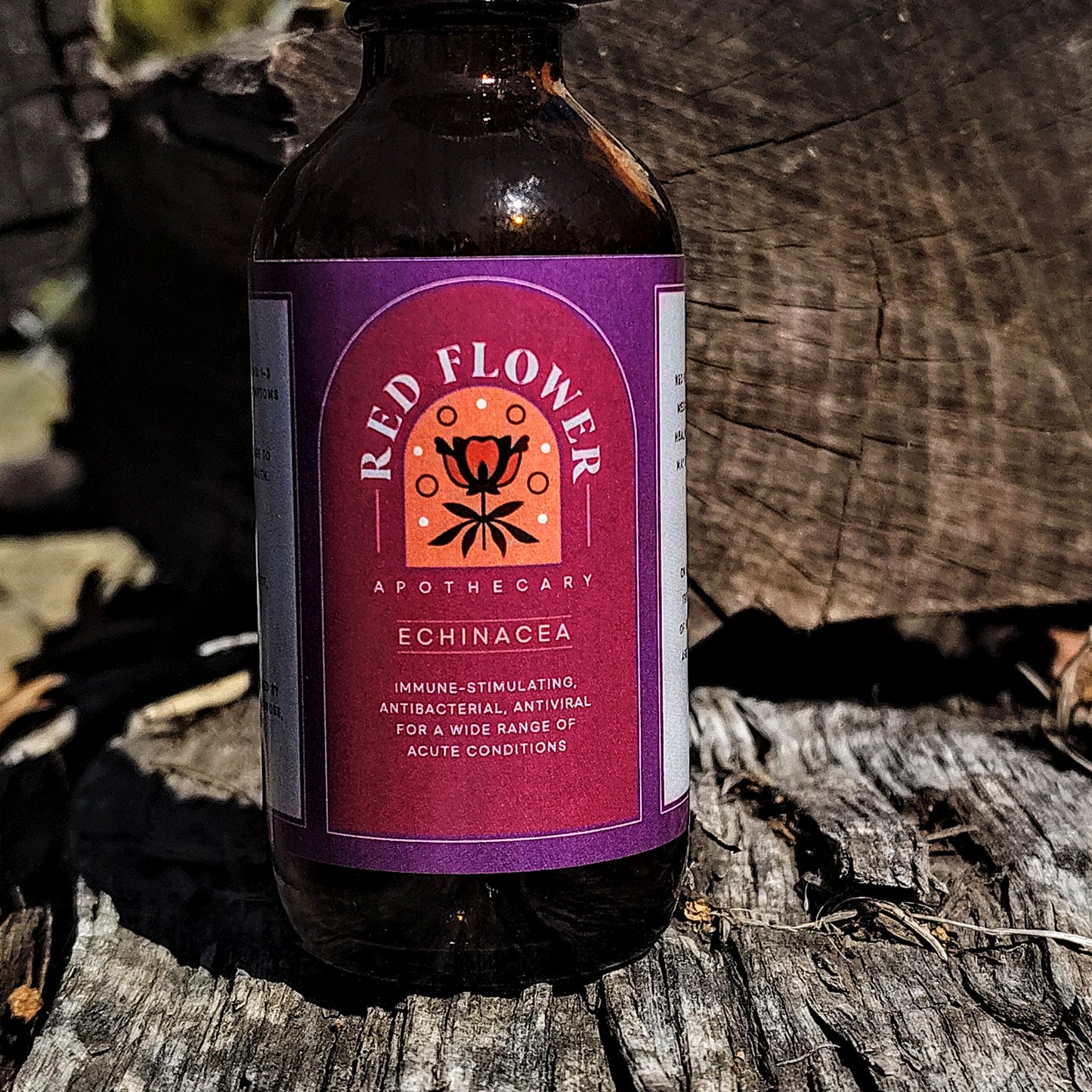 Organic Echinacea Root