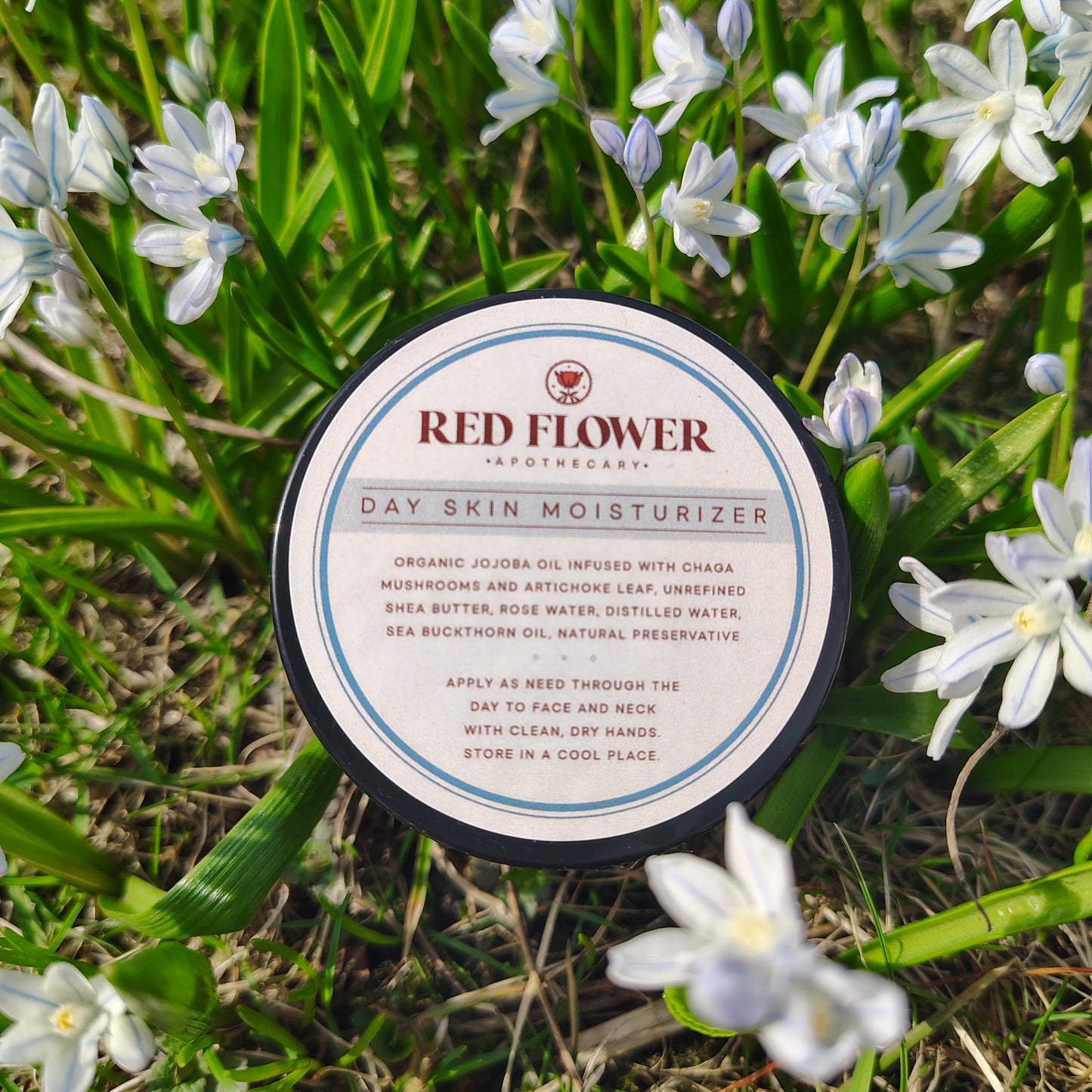 Day Skin Moisturizer