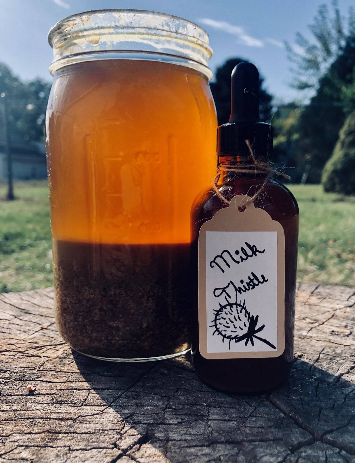 Organic Milk Thistle