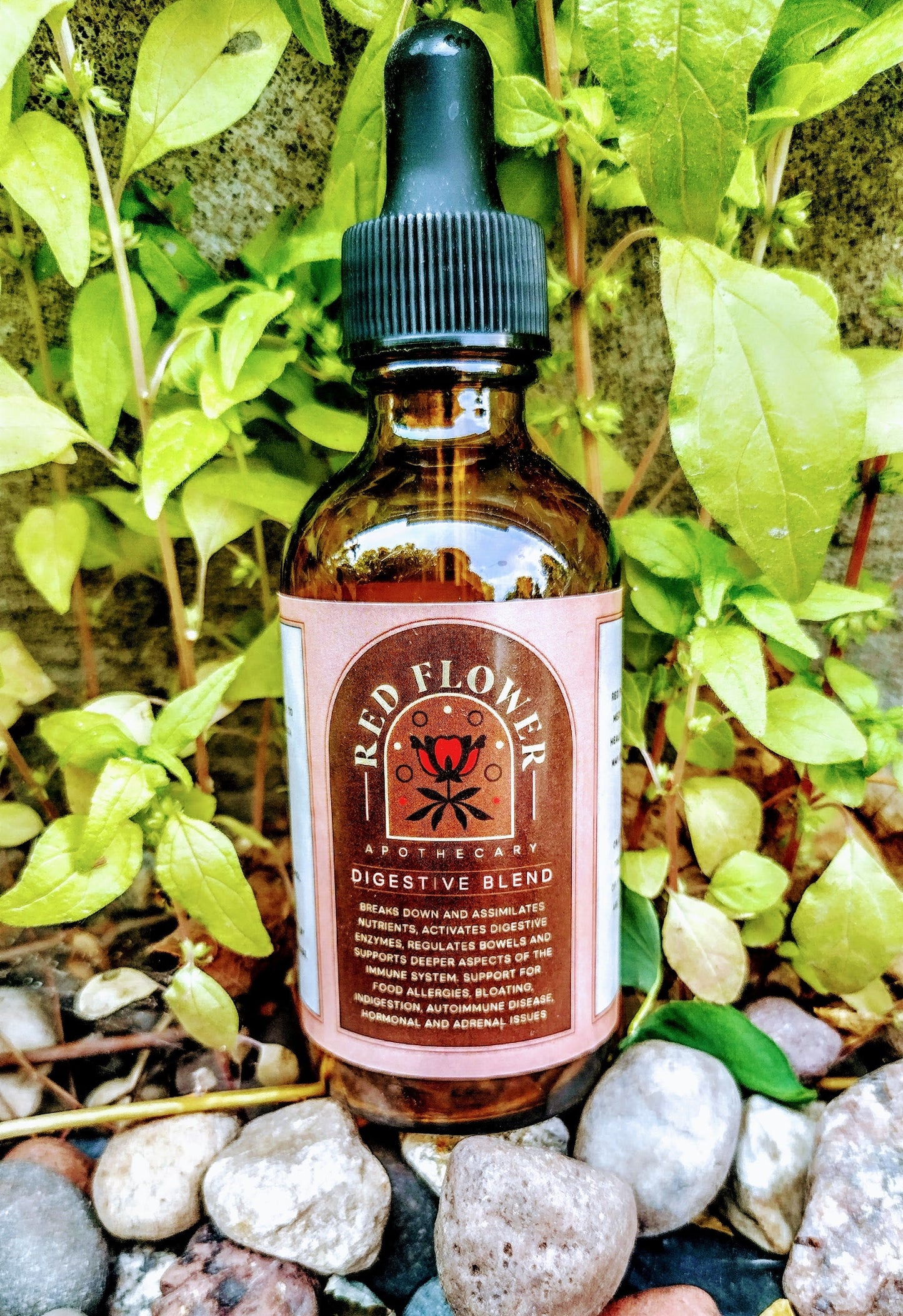 Organic Digestive Blend
