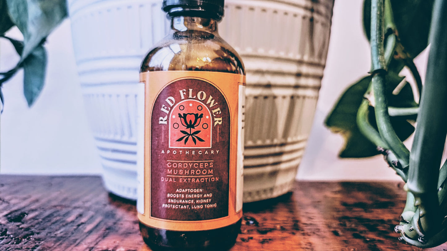 Organic Cordyceps Mushroom - Dual Extraction