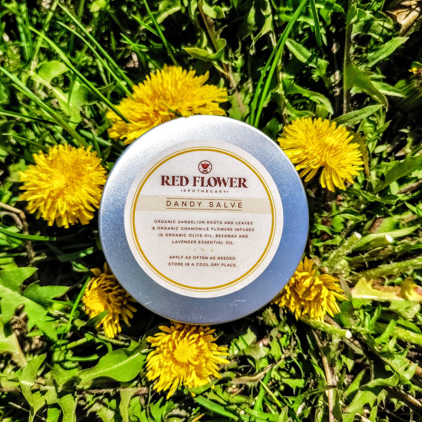 Dandy Salve