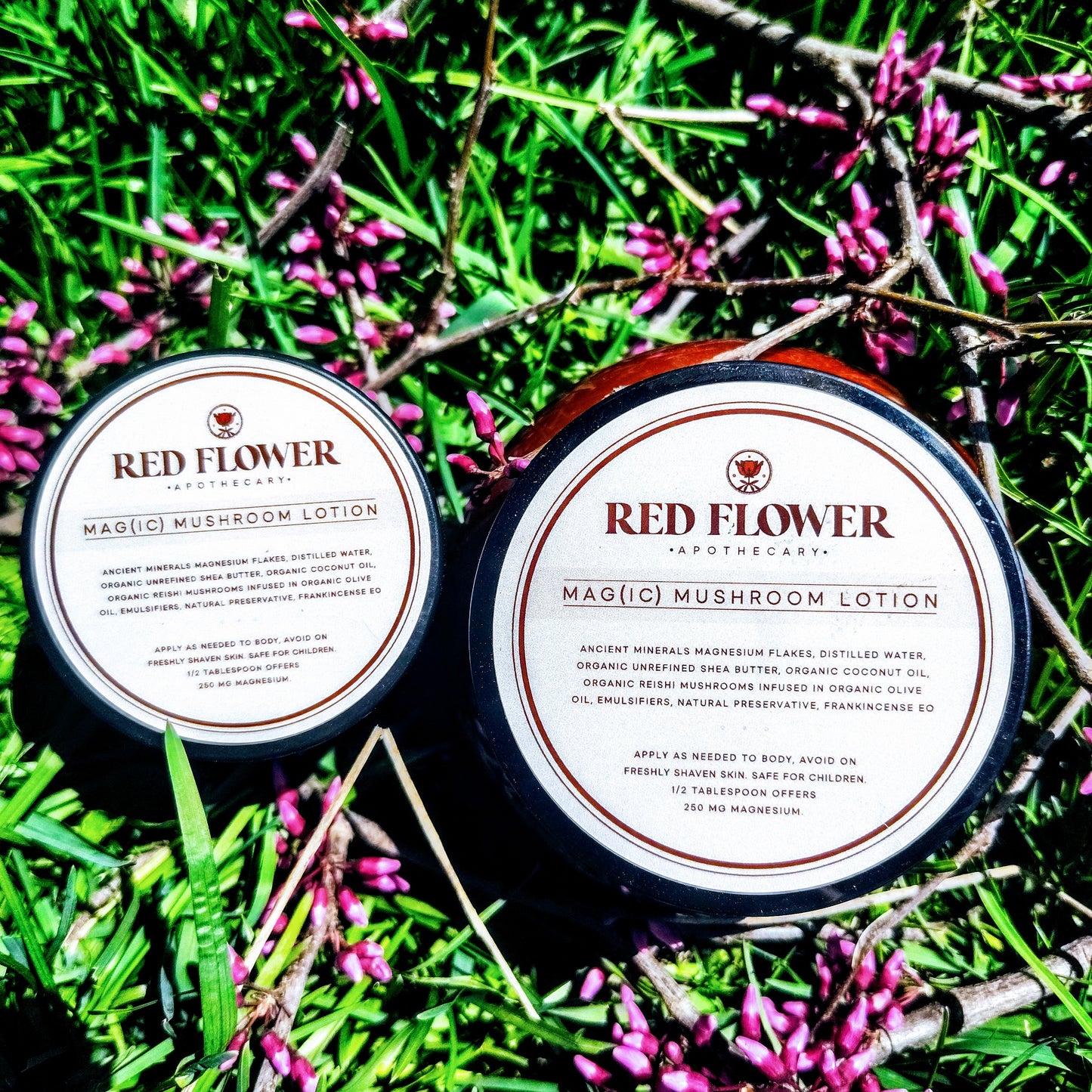 Mag(ic) Mushroom Lotion
