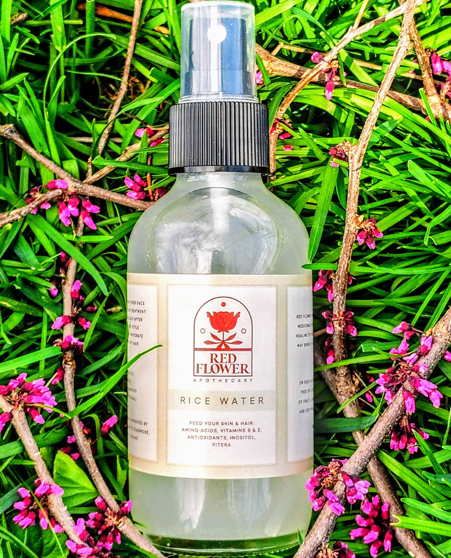 Organic Rice Water